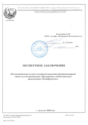 Экспертное заключение ПБ